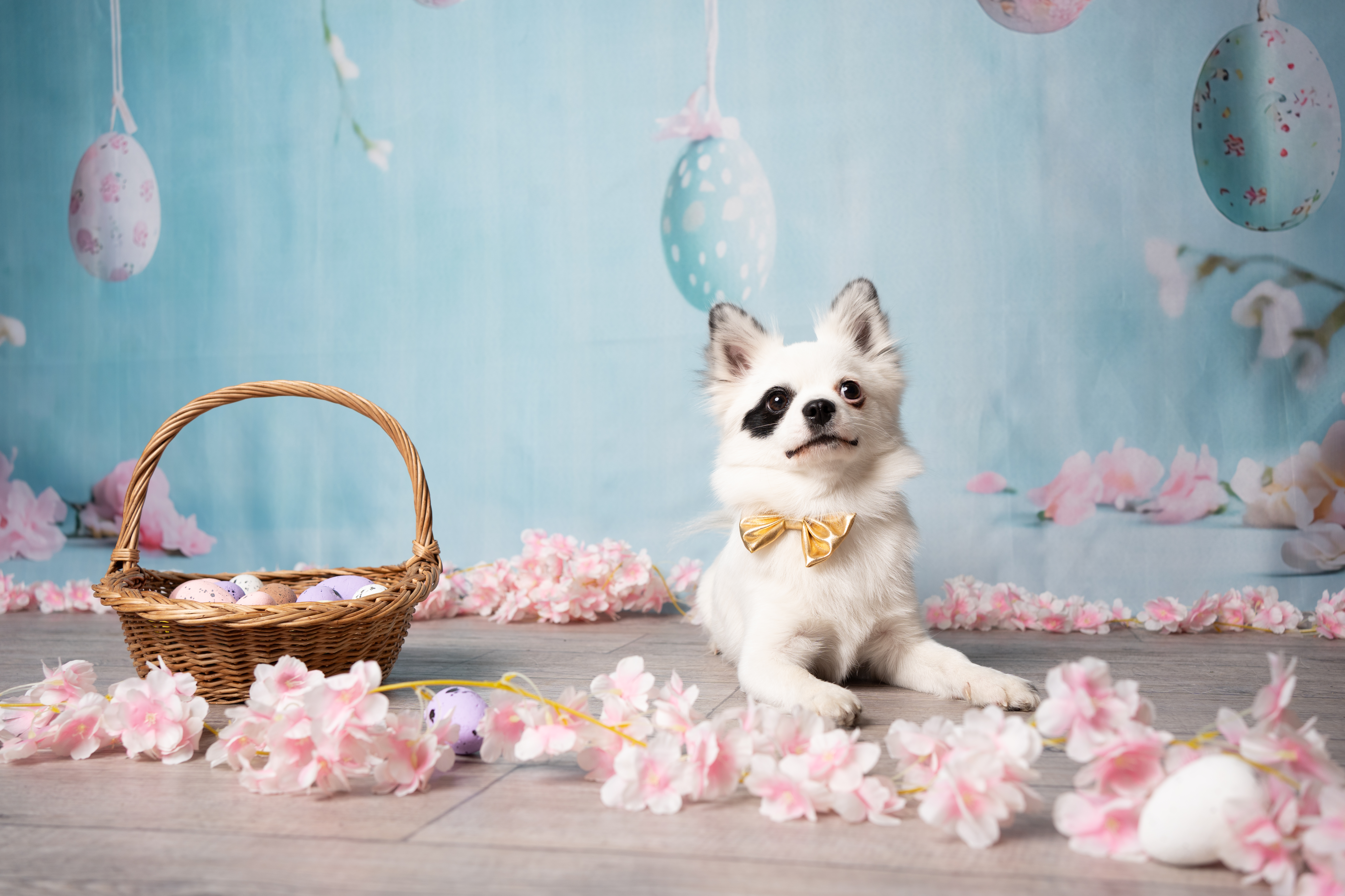 Oslo dans les feuilles