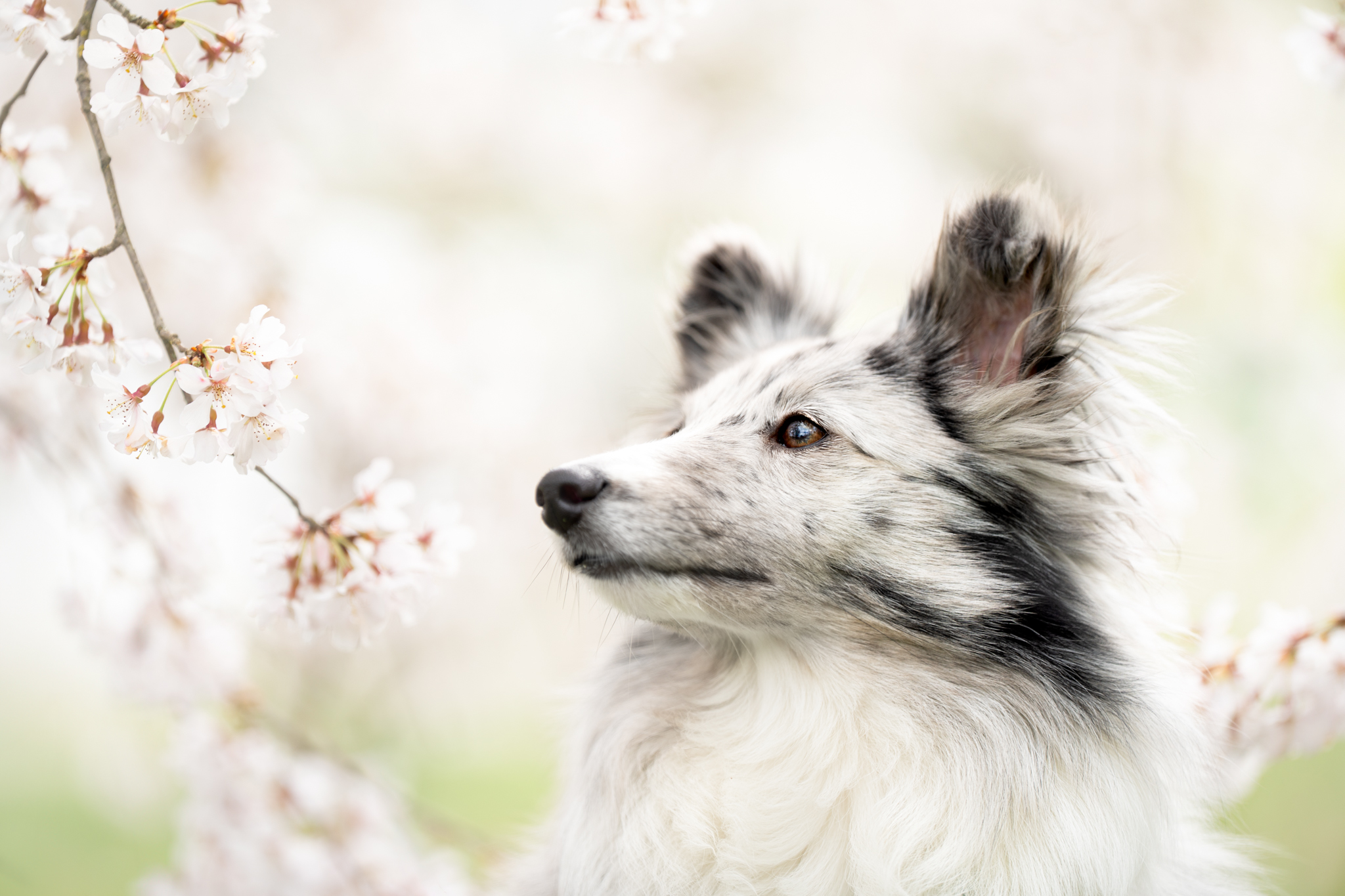 Oslo dans les feuilles