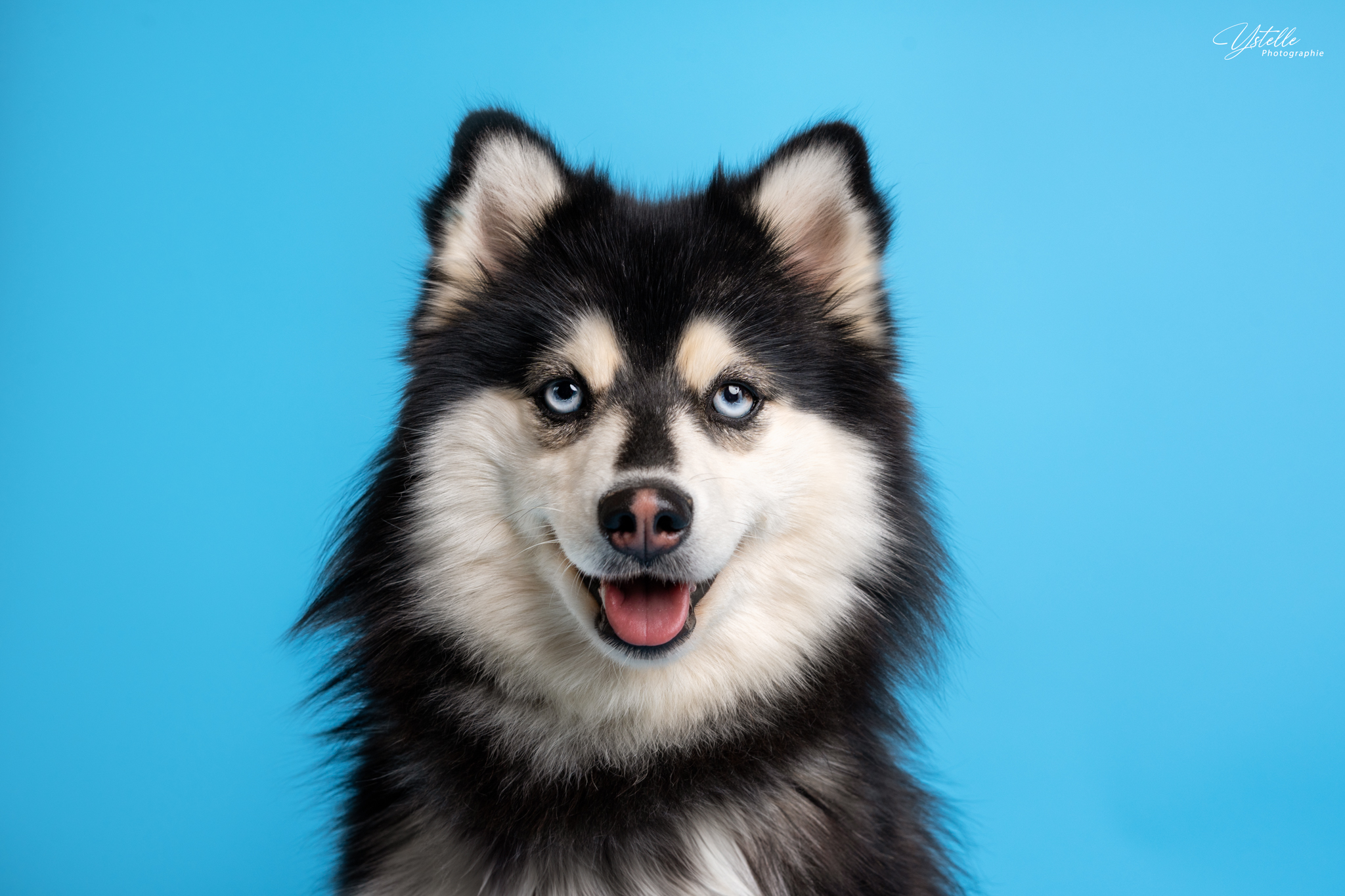 Conseils séance photo