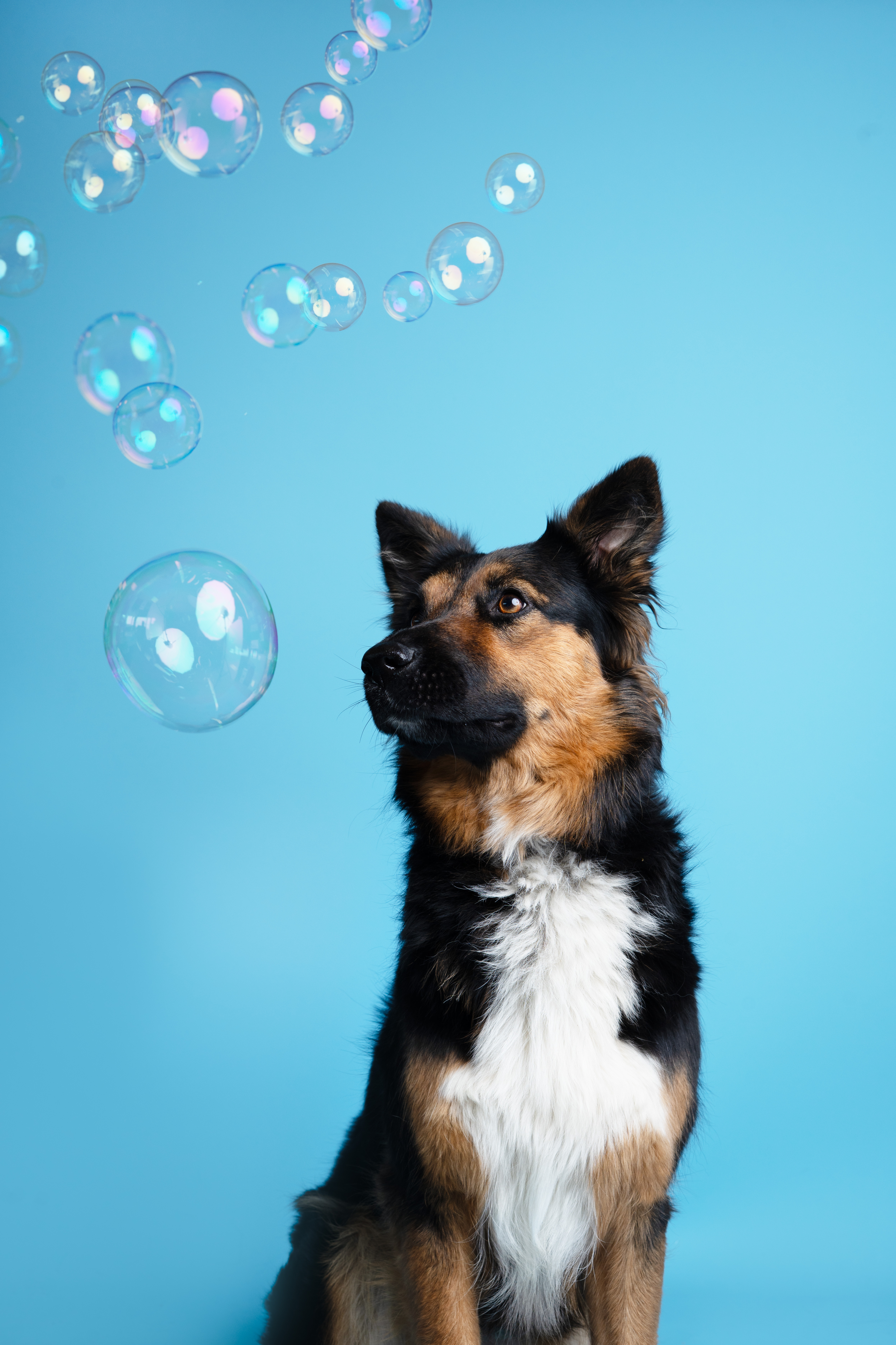 Oslo dans les feuilles