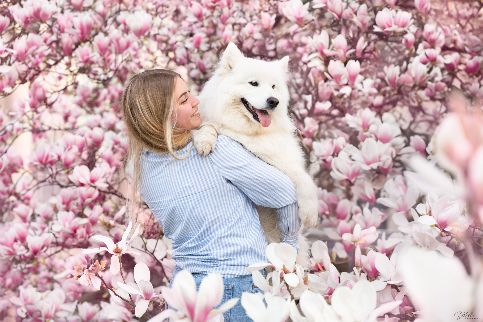 Oslo dans les feuilles