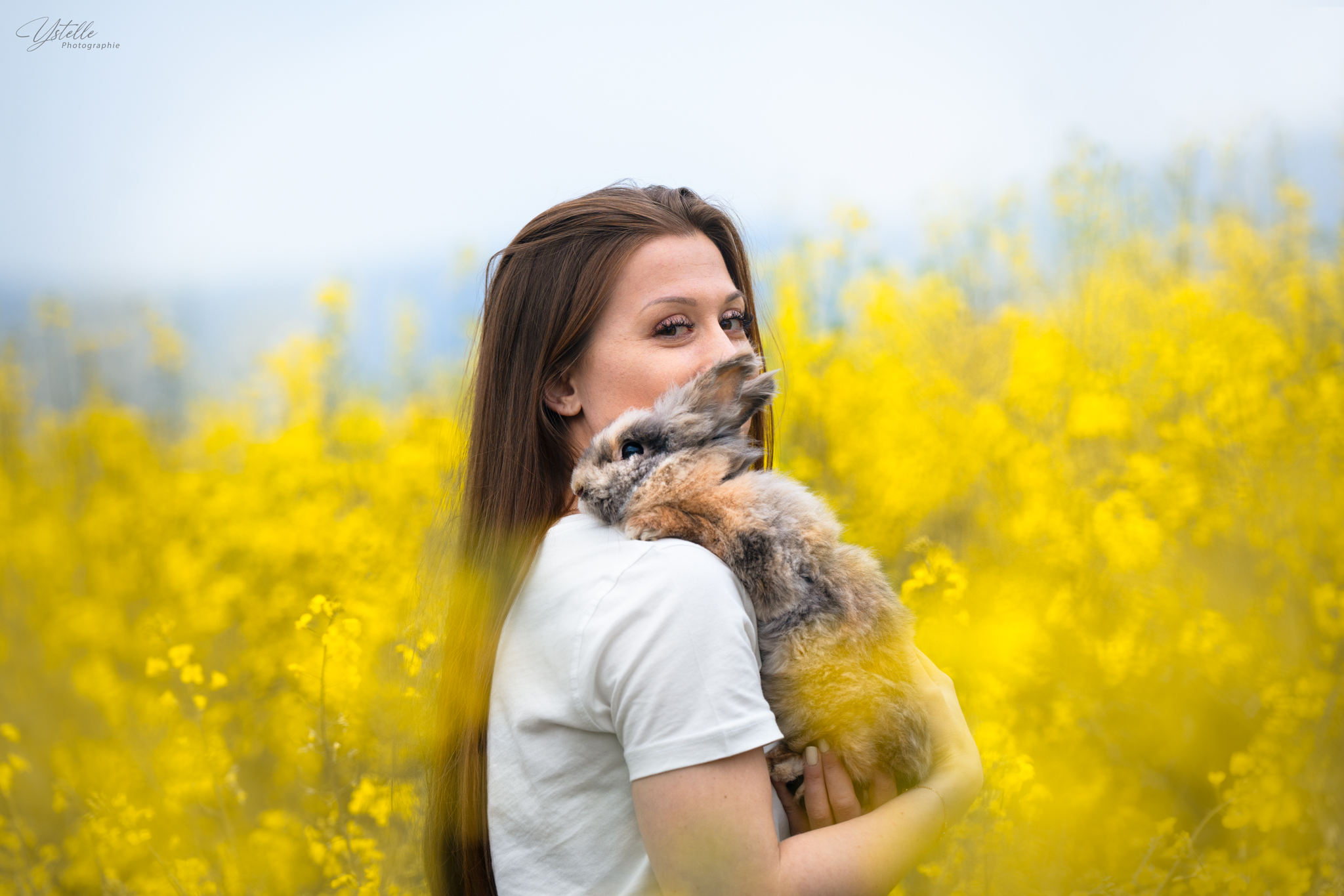 Oslo dans les feuilles