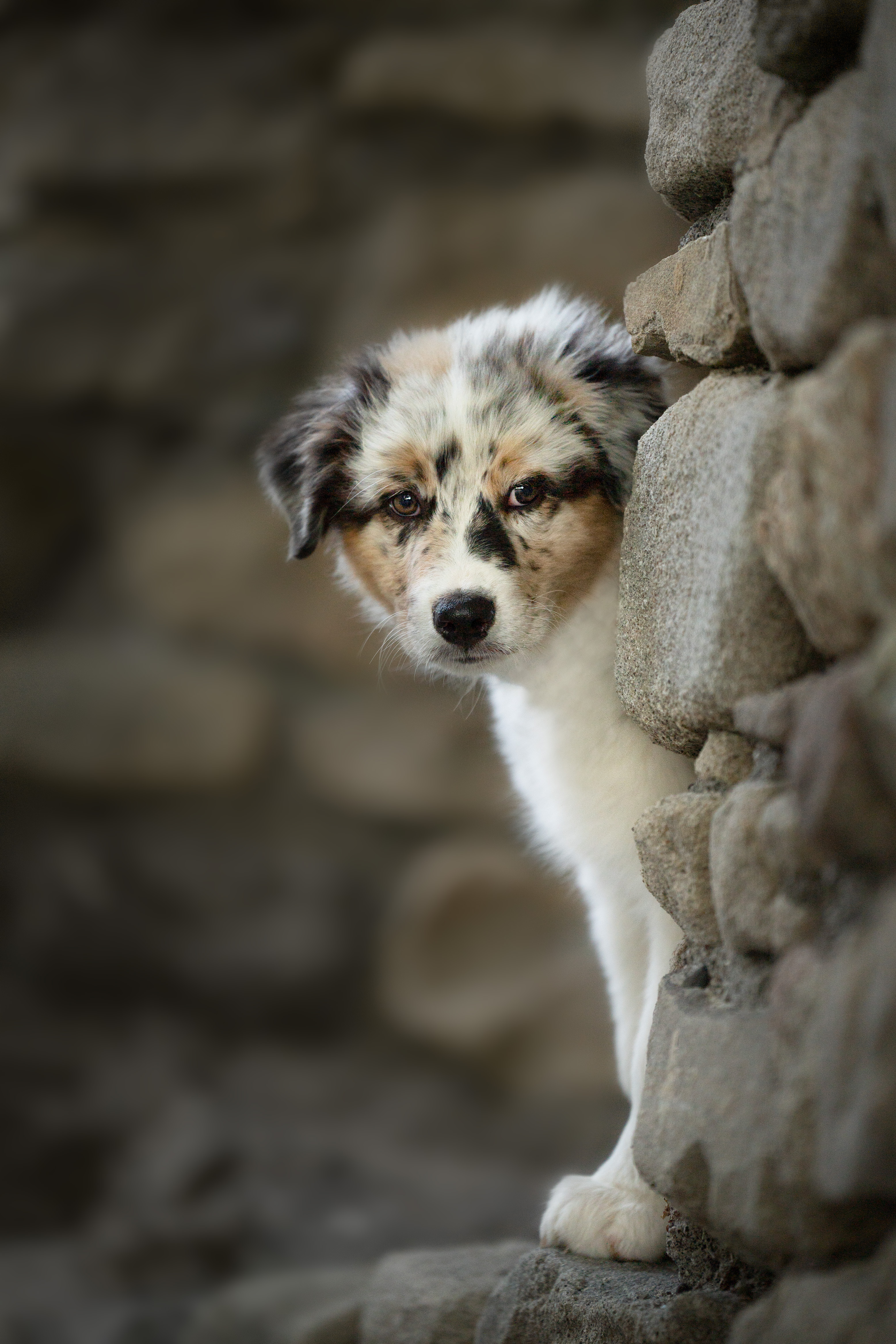 Portfolio Ystelle Photographie